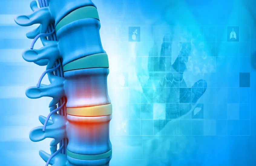 الجهاز المناعي يظهر دورا غير متوقع في صحة العظام